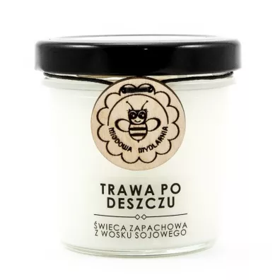 Miodowa Mydlarnia �wieca sojowa Trawa po deszczu 120 ml