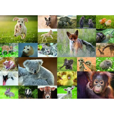 Puzzle dla dzieci 200 el. Zwierz�tka Ravensburger
