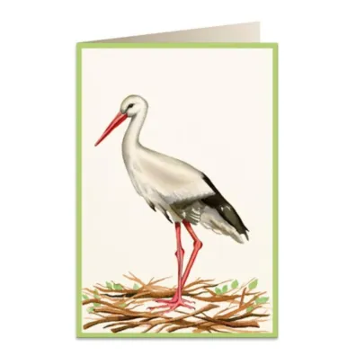 Tassotti Karnet B6 + koperta 5824 Bocian