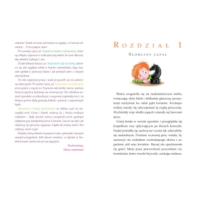 Przygody nudzimisi�w