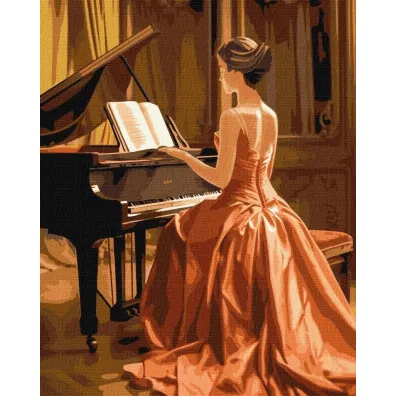 Ideyka Malowanie po numerach - Wspania�y pianista 40x50cm