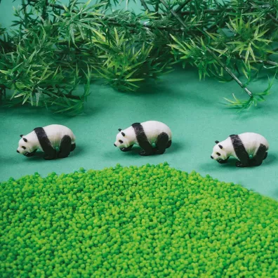 Petit Boum Butelka obserwacyjna - Panda