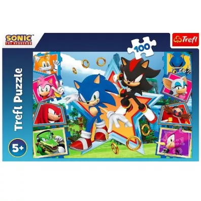 Puzzle 100 el. Poznaj Sonica Trefl