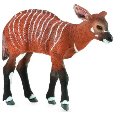 Krowa Bongo