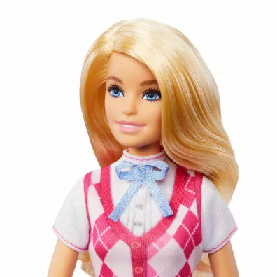 Barbie. Malibu D�okejka HXJ38 Mattel