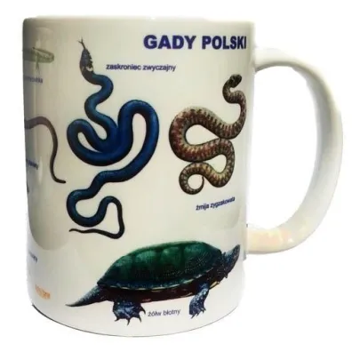 Soliton Kubek. Gady