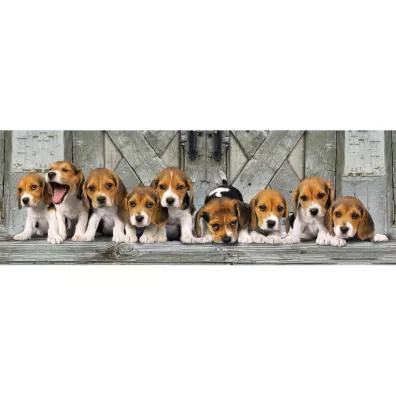 Puzzle 1000 el. Panorama - Beagles Clementoni