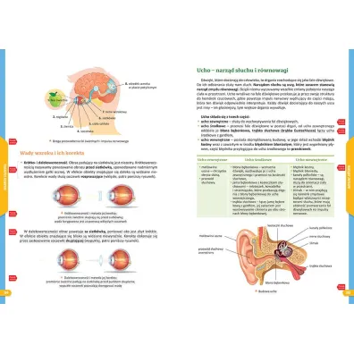 Nowe Repetytorium. Biologia. Szko�a podstawowa