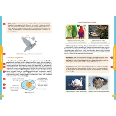Nowe Repetytorium. Biologia. Szko�a podstawowa
