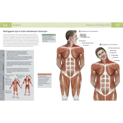 Anatomia stretchingu. 50 podstawowych �wicze� wzmacniaj�cych i zwi�kszaj�cych elastyczno��