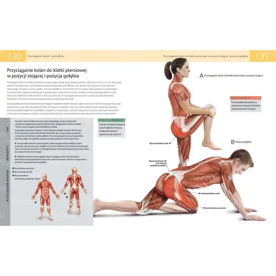Anatomia stretchingu. 50 podstawowych �wicze� wzmacniaj�cych i zwi�kszaj�cych elastyczno��