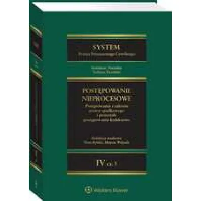 System Prawa Procesowego Cywilnego. Tom IV