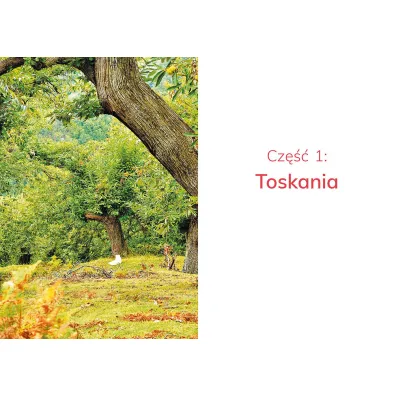 Nieznane Toskania i Romania. Gdzie Dante m�wi dobranoc