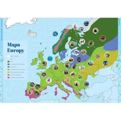 Moja pierwsza encyklopedia - zwierz�ta