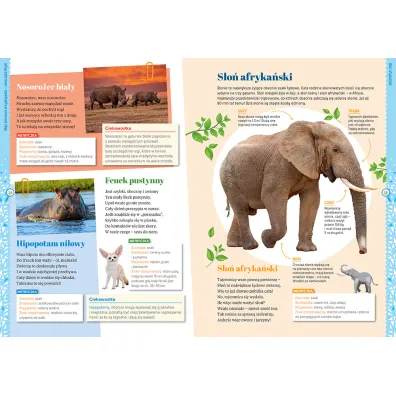 Moja pierwsza encyklopedia - zwierz�ta