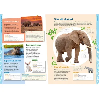 Moja pierwsza encyklopedia - zwierz�ta