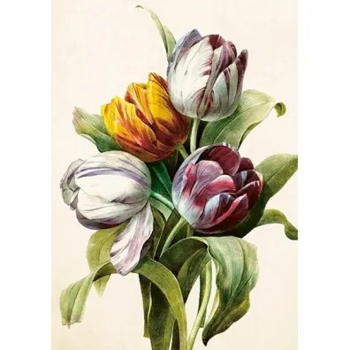 Skona Ting Karnet ST541 B6 + koperta Tulipany