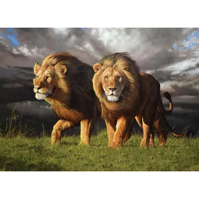 Puzzle 1000 el. Zbli�a si� burza Cobble Hill