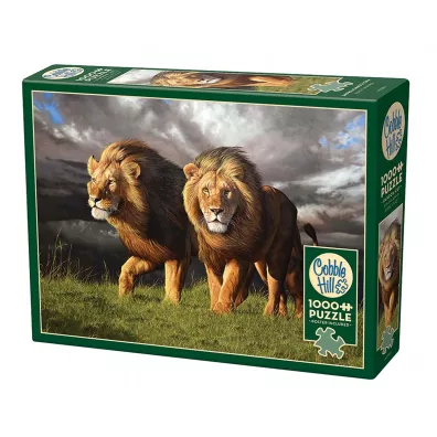 Puzzle 1000 el. Zbli�a si� burza Cobble Hill