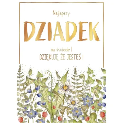 Henry KARNET DZIEN DZIADKA B6 Z KOP LAS ZLOC HE FOL