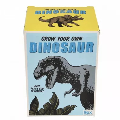 Dinozaur wykluwajcy si z jajka, zestaw kreatywny, Dinozaury, 3 l+ Rex London