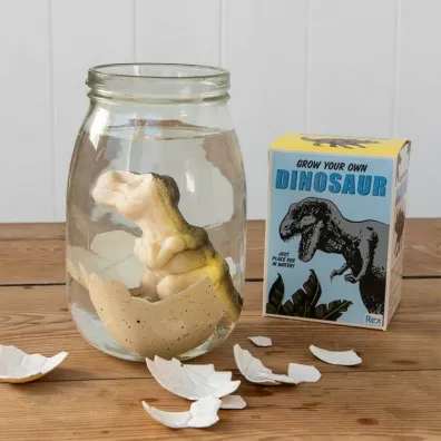 Dinozaur wykluwajcy si z jajka, zestaw kreatywny, Dinozaury, 3 l+ Rex London