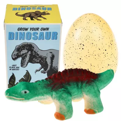Dinozaur wykluwajcy si z jajka, zestaw kreatywny, Dinozaury, 3 l+ Rex London