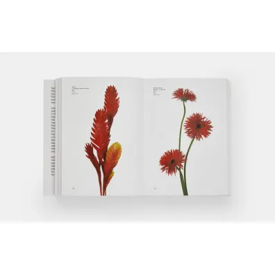 Flower Colour Guide