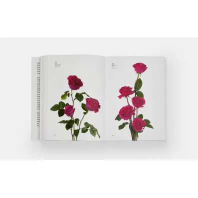 Flower Colour Guide