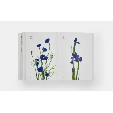 Flower Colour Guide