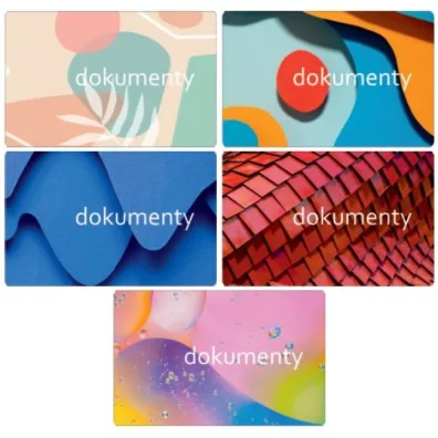 Panta Plast Ok�adka na dokumenty Duo nadruk mix