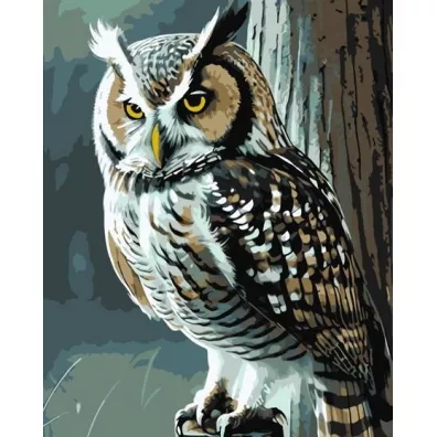 Qbee Malowanie po numerach - M�dra sowa 40x50cm
