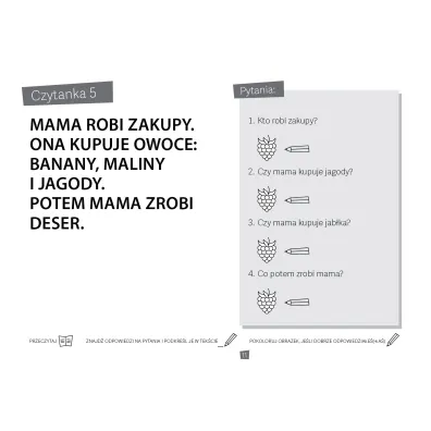 Czytam i odpowiadam na pytania. Kolejne czytanki. �wiczenia w czytaniu ze zrozumieniem