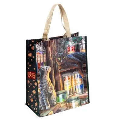 Puckator Torba na zakupy Magical Emporium Cat