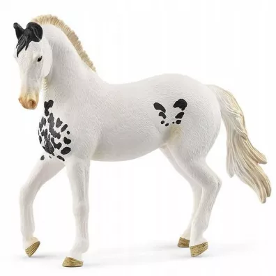 Ogier Marwari Horse Club SLH14898