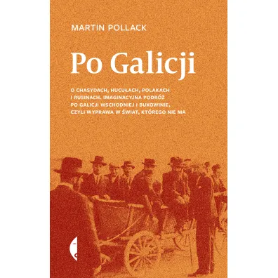 Po Galicji - Martin Pollack