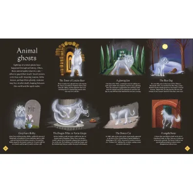 The Book of Mysteries, Magic, and the Unexplained  wer. angielska