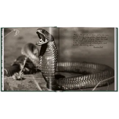 Peter Beard. The End of the Game