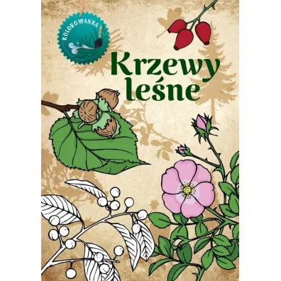 Krzewy le�ne. Kolorowanka - Katarzyna Kopiec-Sekieta