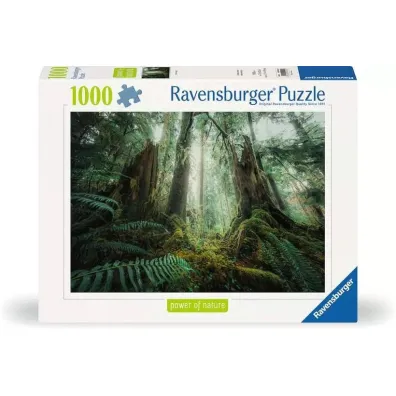 Puzzle 1000 el. Lasy Ravensburger