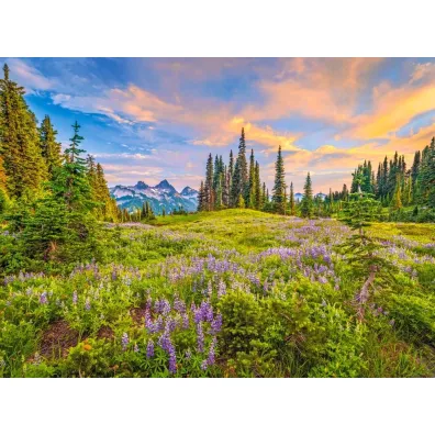 Puzzle 2000 el. Blossoms of Morning Castorland