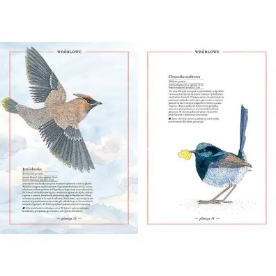 Ilustrowany inwentarz ptakw