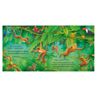 Pop-Up Animals. Pop-Up Book