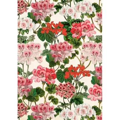 Skona Ting Karnet ST531 B6 + koperta Pelargonia