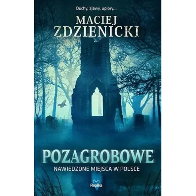 Pozagrobowe. Nawiedzone miejsca w Polsce - Maciej Zdzienicki