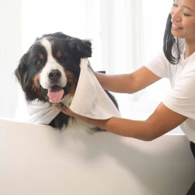 Attitude Furry Friends, Dezodoryzuj�cy szampon dla zwierz�t domowych
