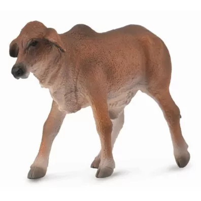 Ciel czerwony brahman S