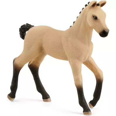 rebi Rasy Hanoverian, Red Dun