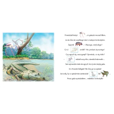 Ksi��eczka 200X190 Akademia rymowania. Zwierzaki z zoo  Naklejki SKRZAT 076295