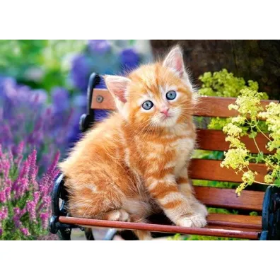 Puzzle 180 el. Kotek na �awce Castorland